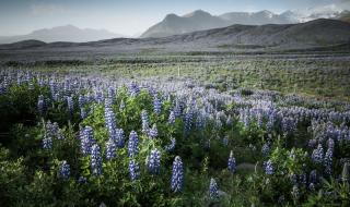 泰语歌阻碍音译歌词 还有一个音译歌词